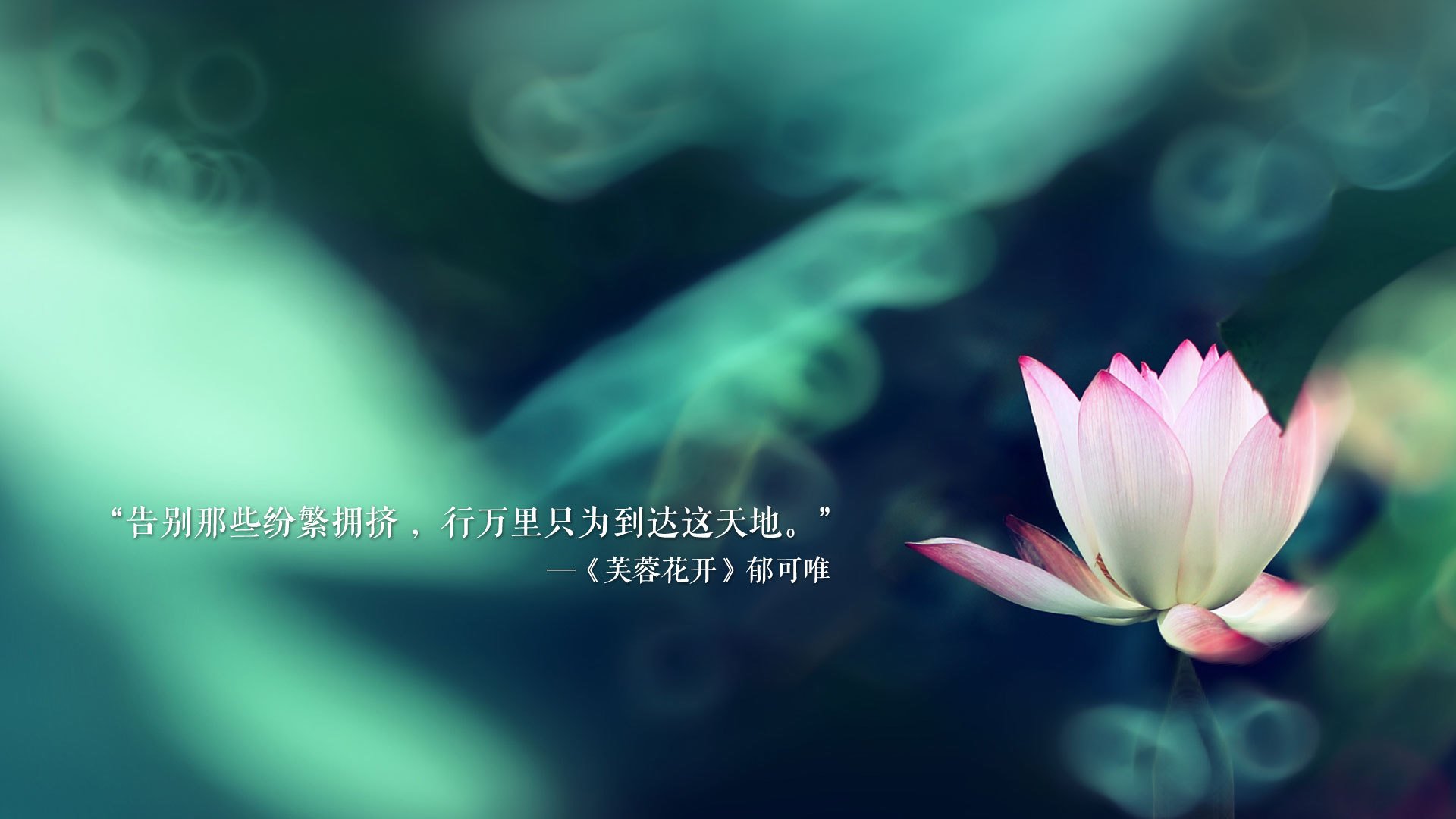 2021考研网上确认步骤是什么（2021考研网上确认步骤是什么）