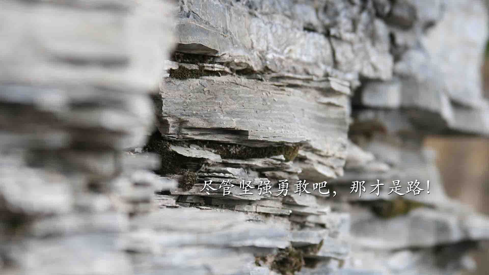 考研学校咨询软件（了解考研学校的软件）